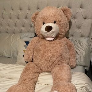 Big teddy bear